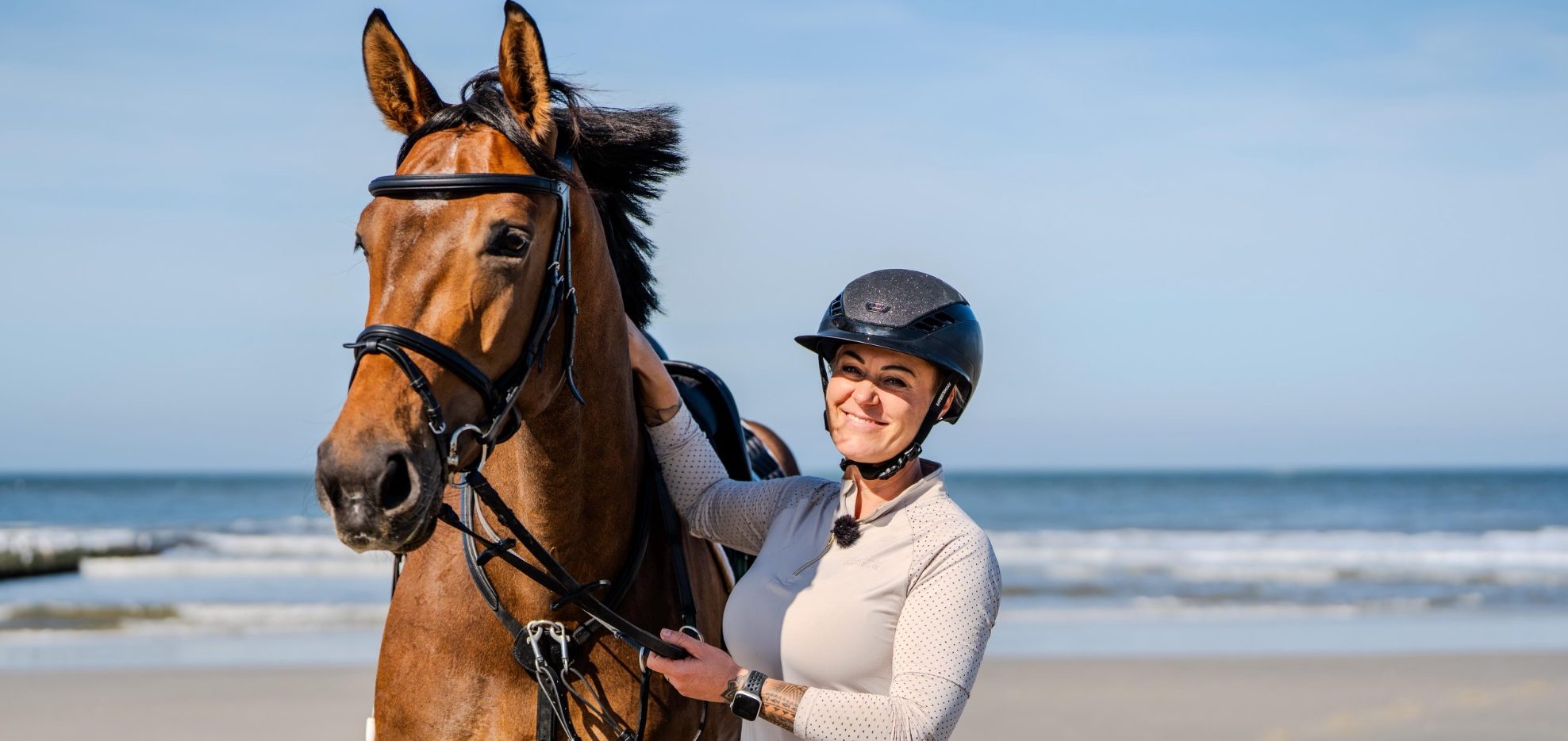 Dreimalvierhufe - Unsere Geschichte